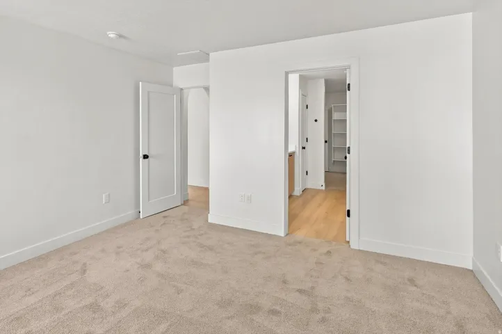 Plush carpeted flooring, white walls, and bright white trim