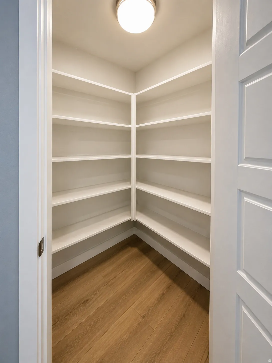 Walk-in pantry with extensive built-in shelving, wood-finish flooring, and flush-mount lighting