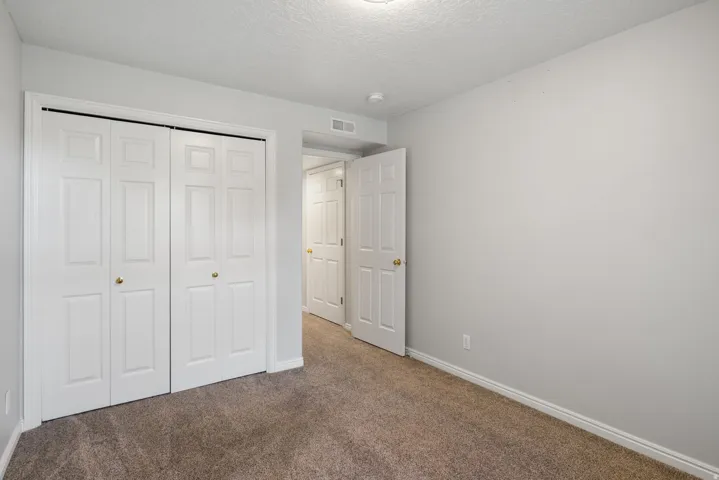 Neutral wall paint, carpet flooring, a bifold closet with panel doors, and a paneled interior door