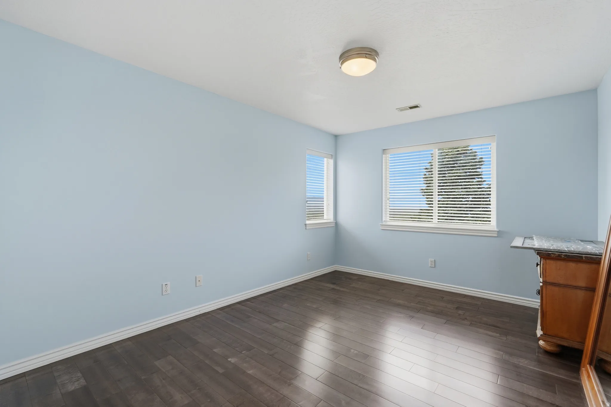 Wood-finish flooring, light blue painted walls, two windows with blinds, and a flush mount ceiling light fixture