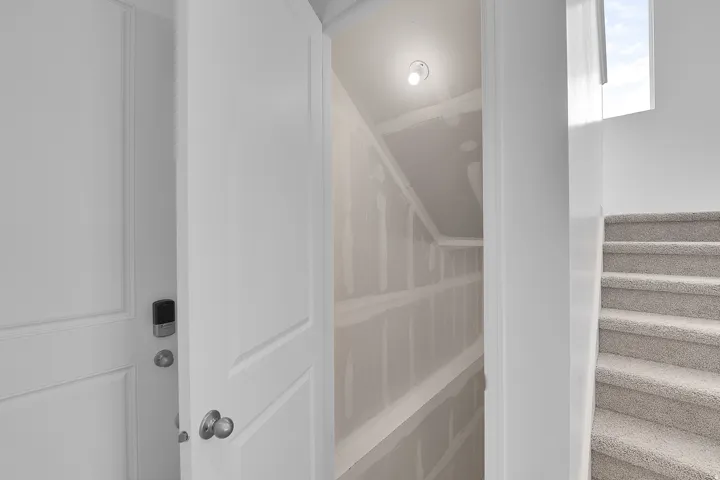 Carpeted staircase with an upper-level window and a well-lit under-stair storage area