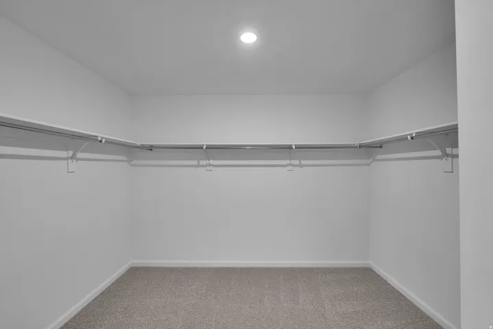 Recessed ceiling lighting, wall-mounted shelving, and carpet flooring