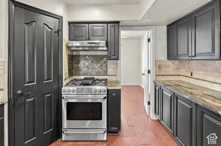 Stainless steel gas range with coordinating ventilation hood