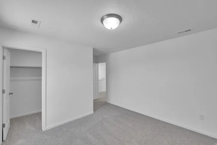 Plush carpeting, neutral wall colors, flush-mount ceiling light, and a built-in closet with hanging rod