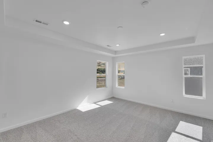 Recessed lighting, tray ceiling, multiple windows, and light gray carpeting