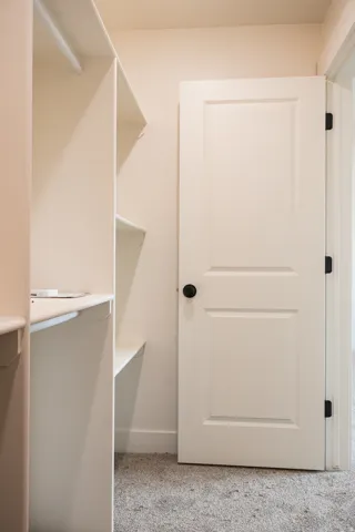 Built-in shelving, hanging rod, panel door, matte black door hardware, and carpet flooring