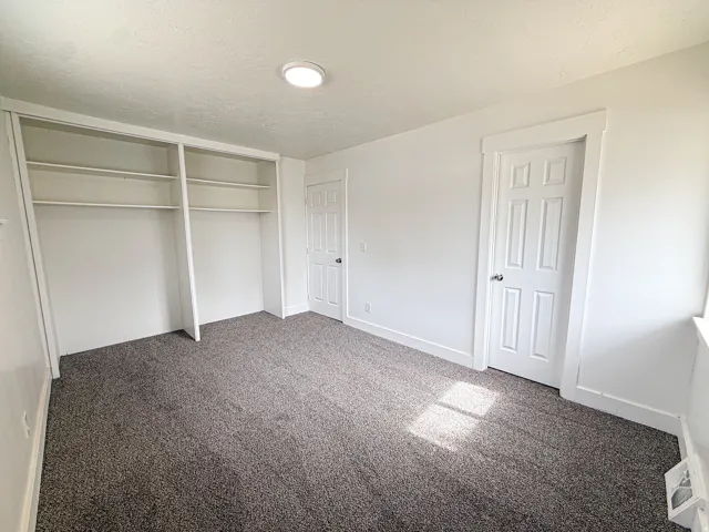 Neutral tone wall paint, flush-mount ceiling light, paneled doors, built-in shelving, and gray carpeting