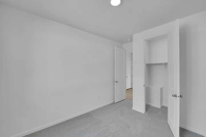 Plush gray carpeting, white trim, and a built-in closet with shelving and a hanging rod