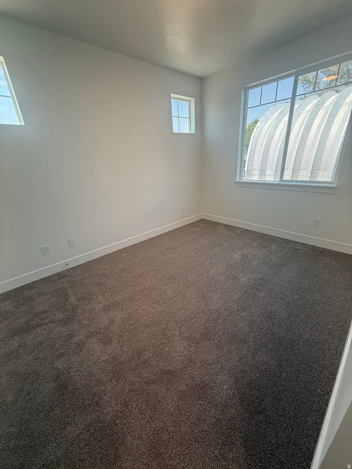 Neutral-toned carpeting in a white-walled room with multiple windows