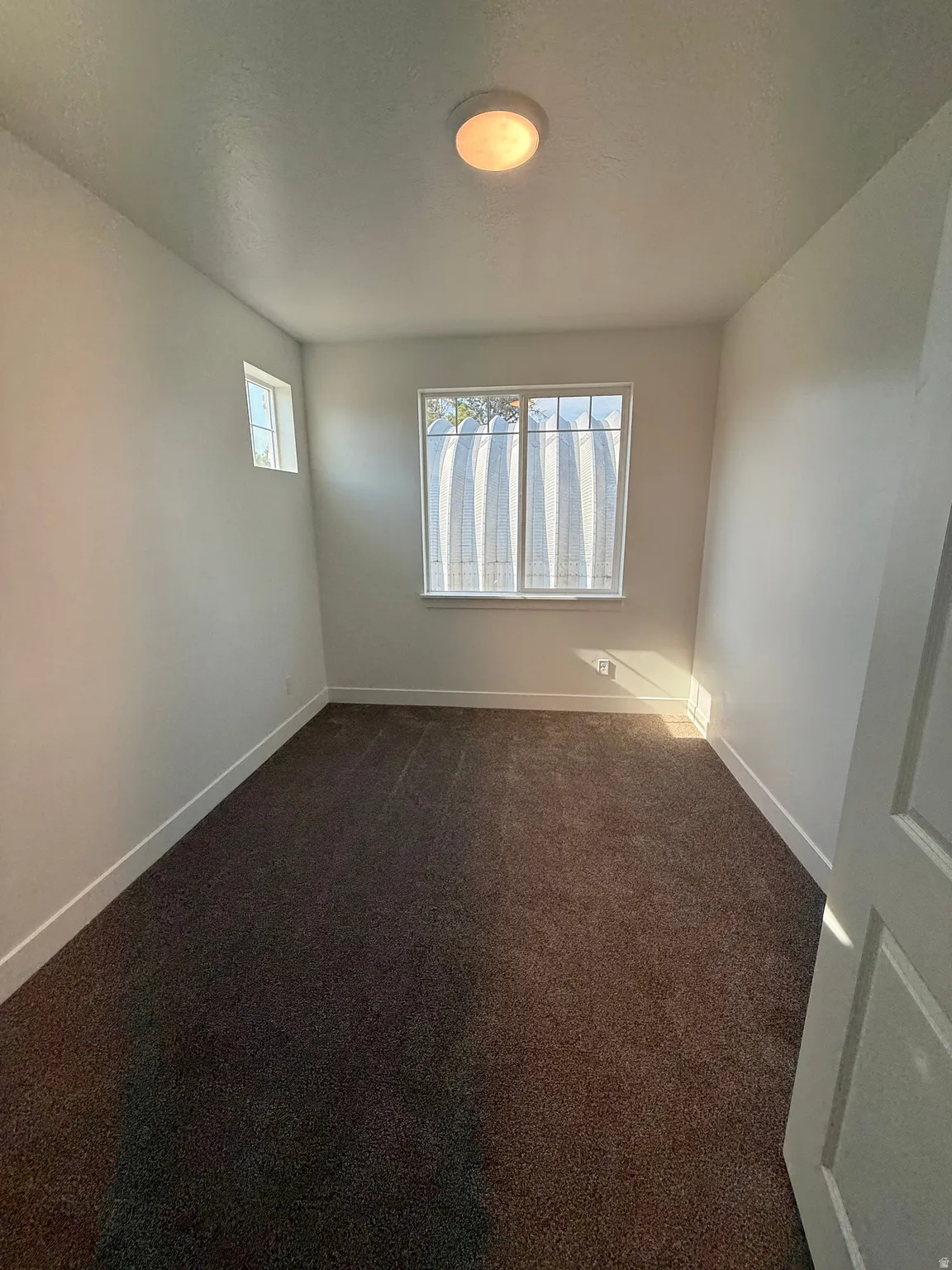 Windowed room featuring dark carpeting, white walls, and a ceiling-mounted light fixture