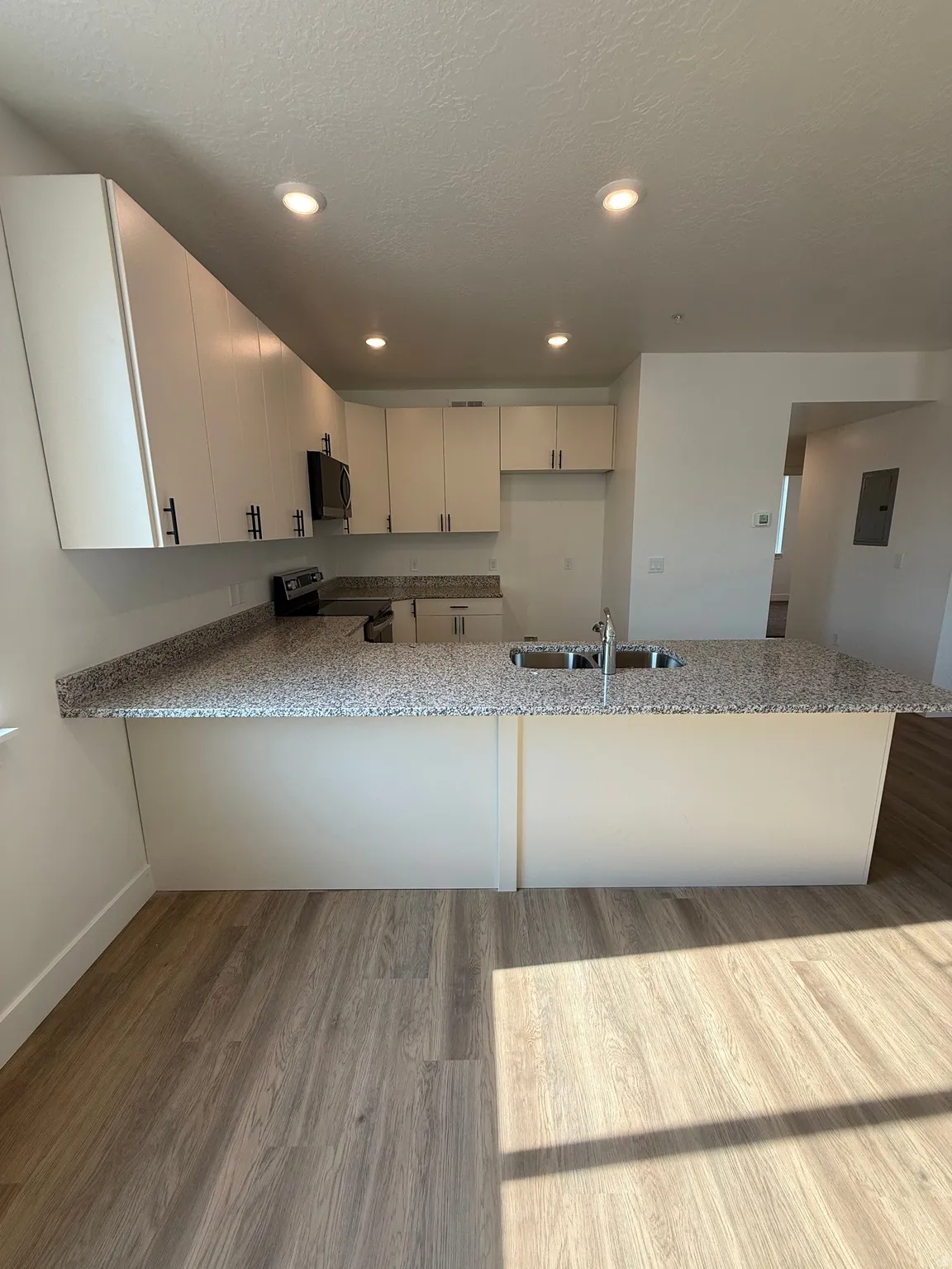 Light-finish wood-look flooring with a peninsula island featuring a double basin sink and a high-neck faucet