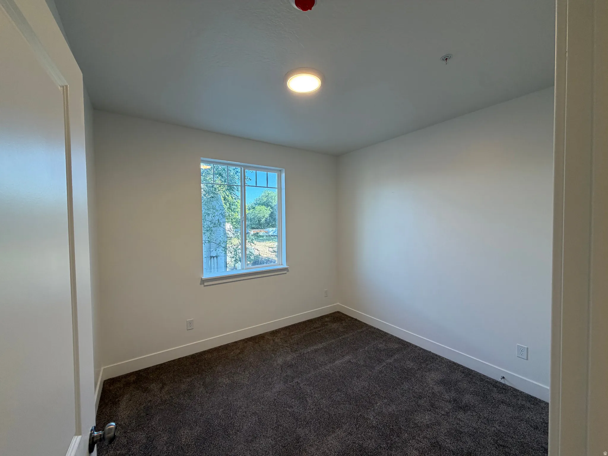 Neutral wall color, carpeted flooring, window with exterior scenery, and a ceiling-mounted light fixture