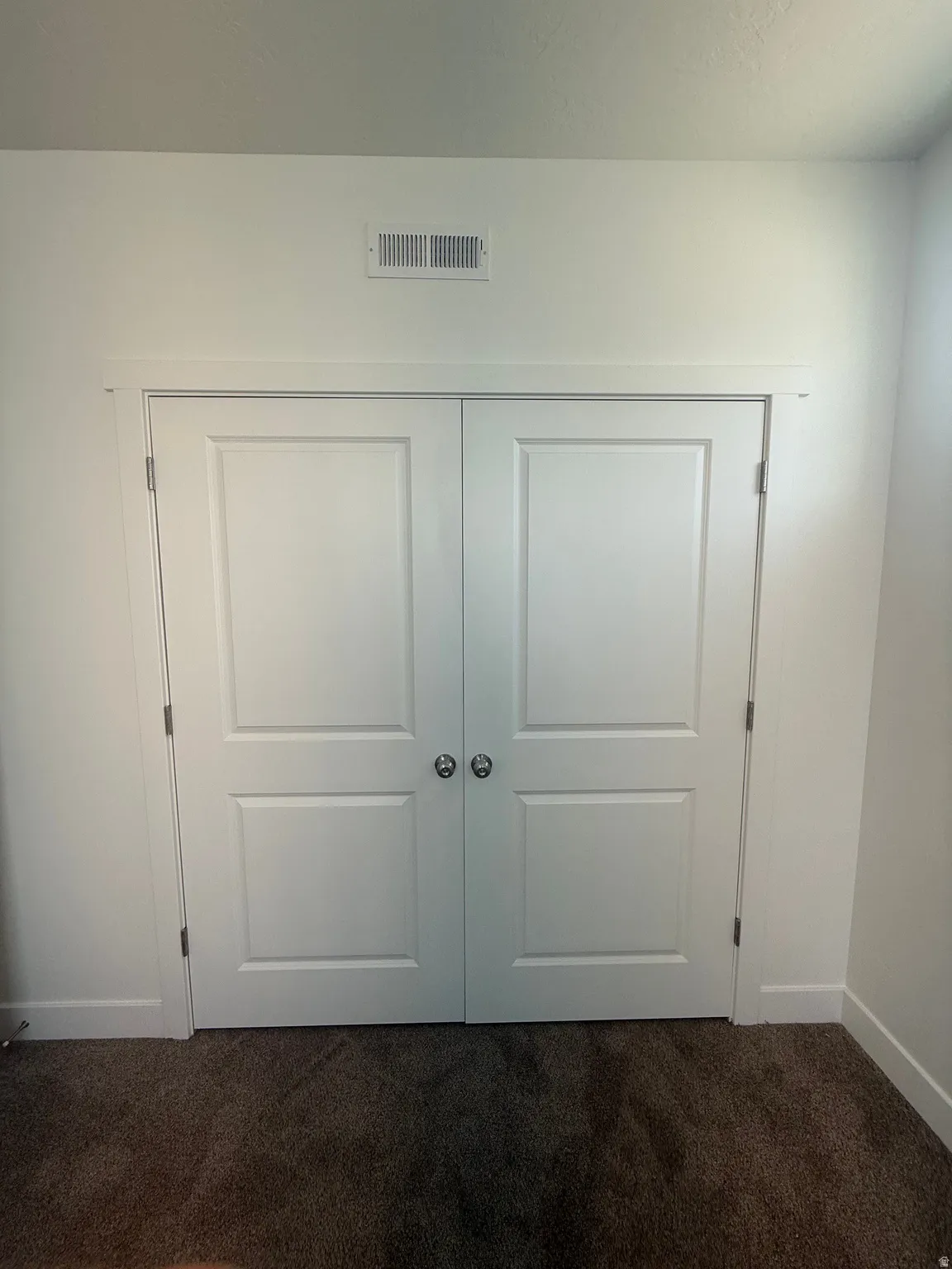 Double-panel doors with brushed nickel hardware and a carpeted floor