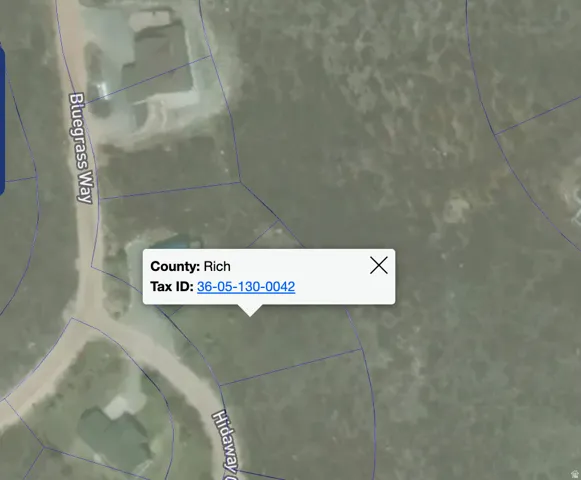GIS Parcel Map. Displaying the county and tax identification number for the property