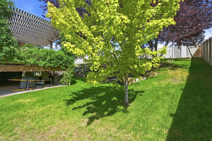 Expansive green lawn with mature trees and a sloped terrain, featuring a wood lattice pergola structure