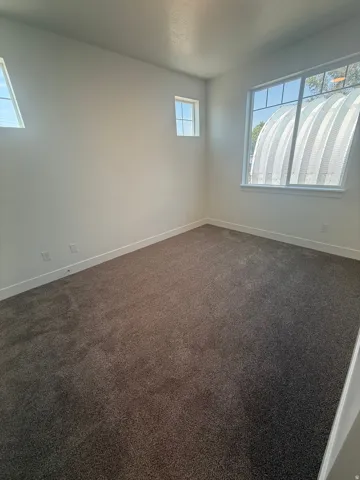 Plush carpeting, multiple windows, white baseboards, and neutral wall paint