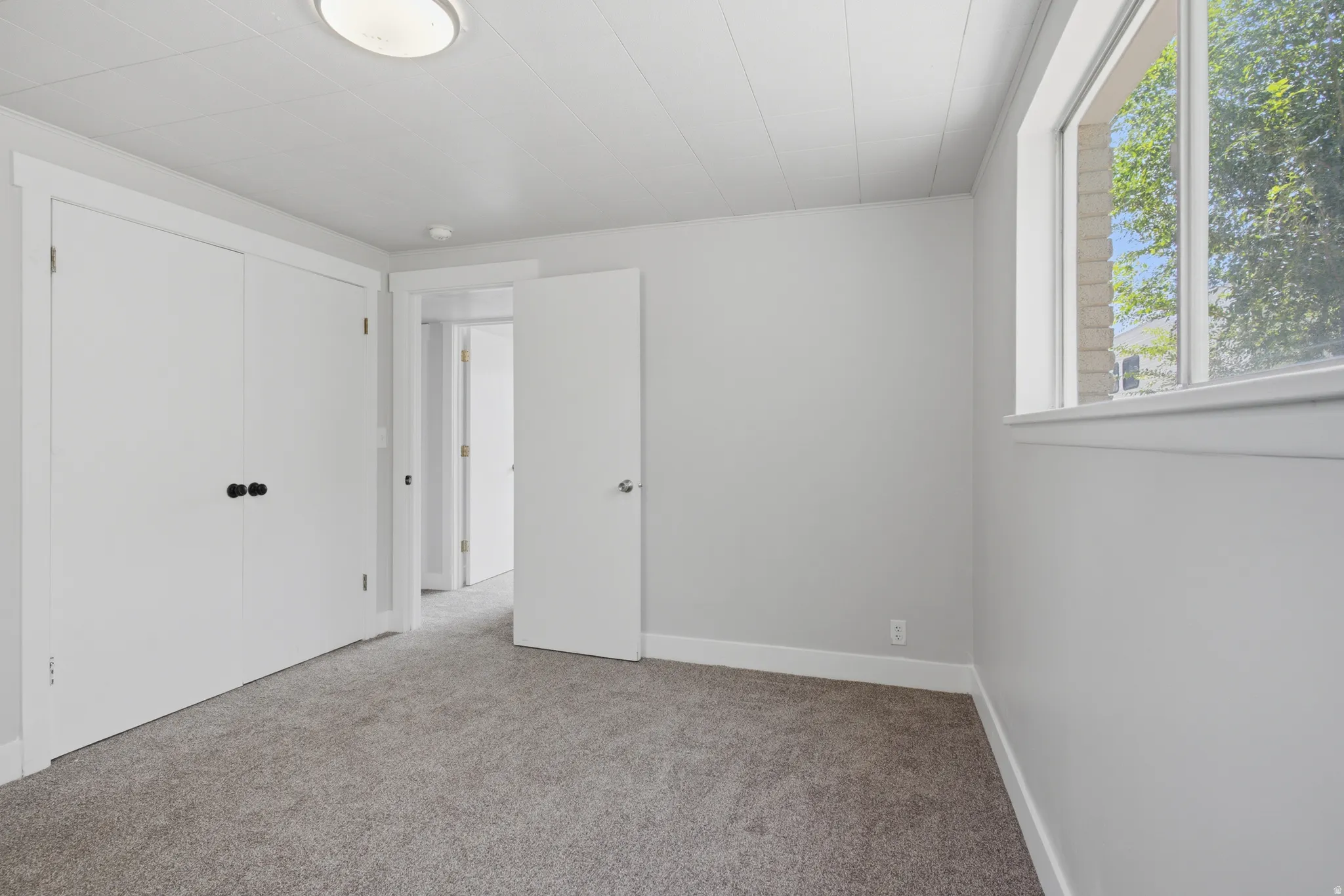 Neutral gray wall paint, light gray carpet, white trim, white doors, and a window