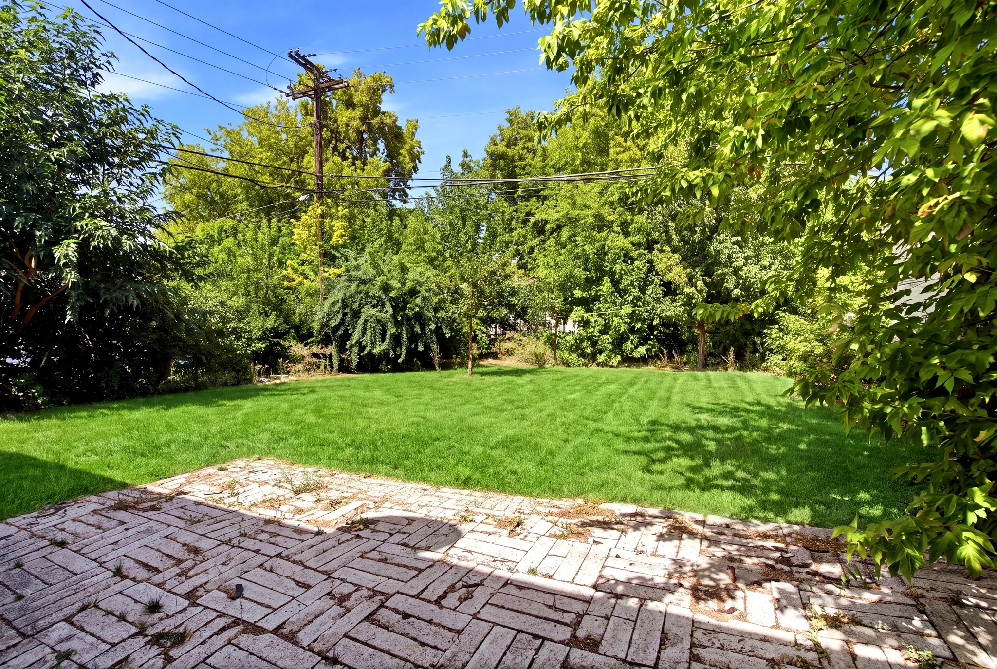 Expansive lawn area with mature trees and a brick paver patio
