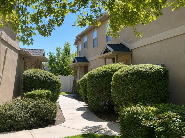 Stucco exterior finish with dark-shingled awnings, a concrete pathway, and manicured shrubbery