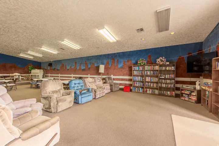 Carpeted recreation room featuring extensive built-in shelving, a wall-mounted television, and a tiered seating area with tables