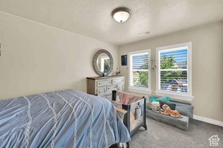Bright secondary bedroom featuring expansive dual glass doors and windows framing natural light, neutral wall finishes, carpeted flooring
