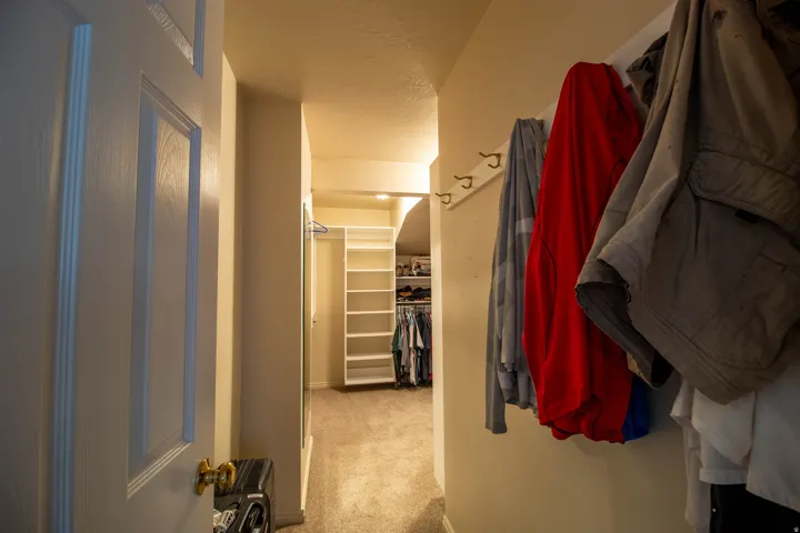 Walk-in closet with built-in shelving, hanging rods, and carpet flooring