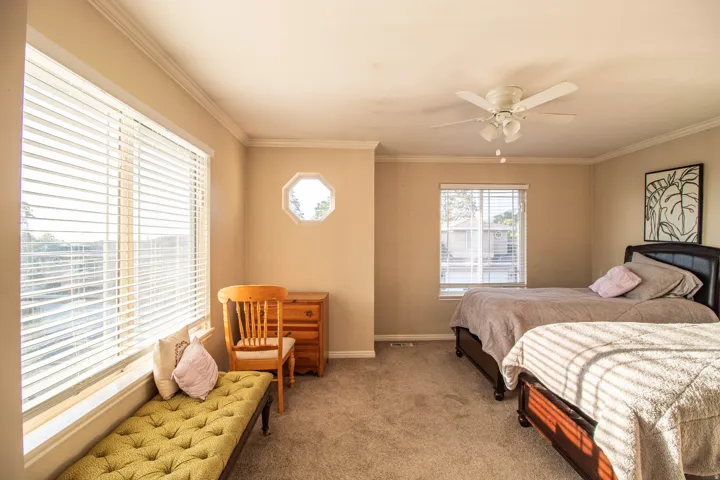 Carpeted room with a ceiling fan, crown molding, and multiple windows including an octagonal accent window