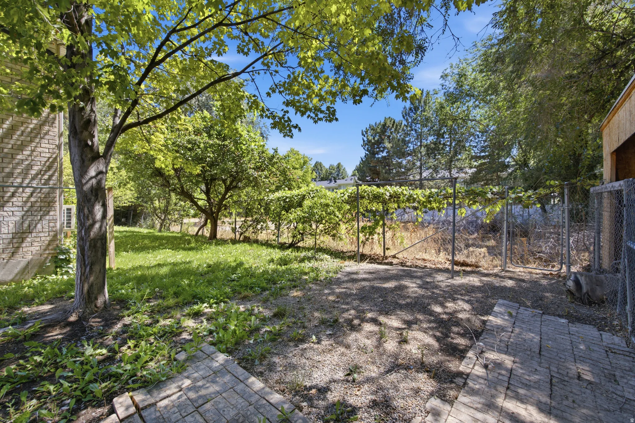Expansive outdoor space featuring a mature tree, established arbor, and a fenced area