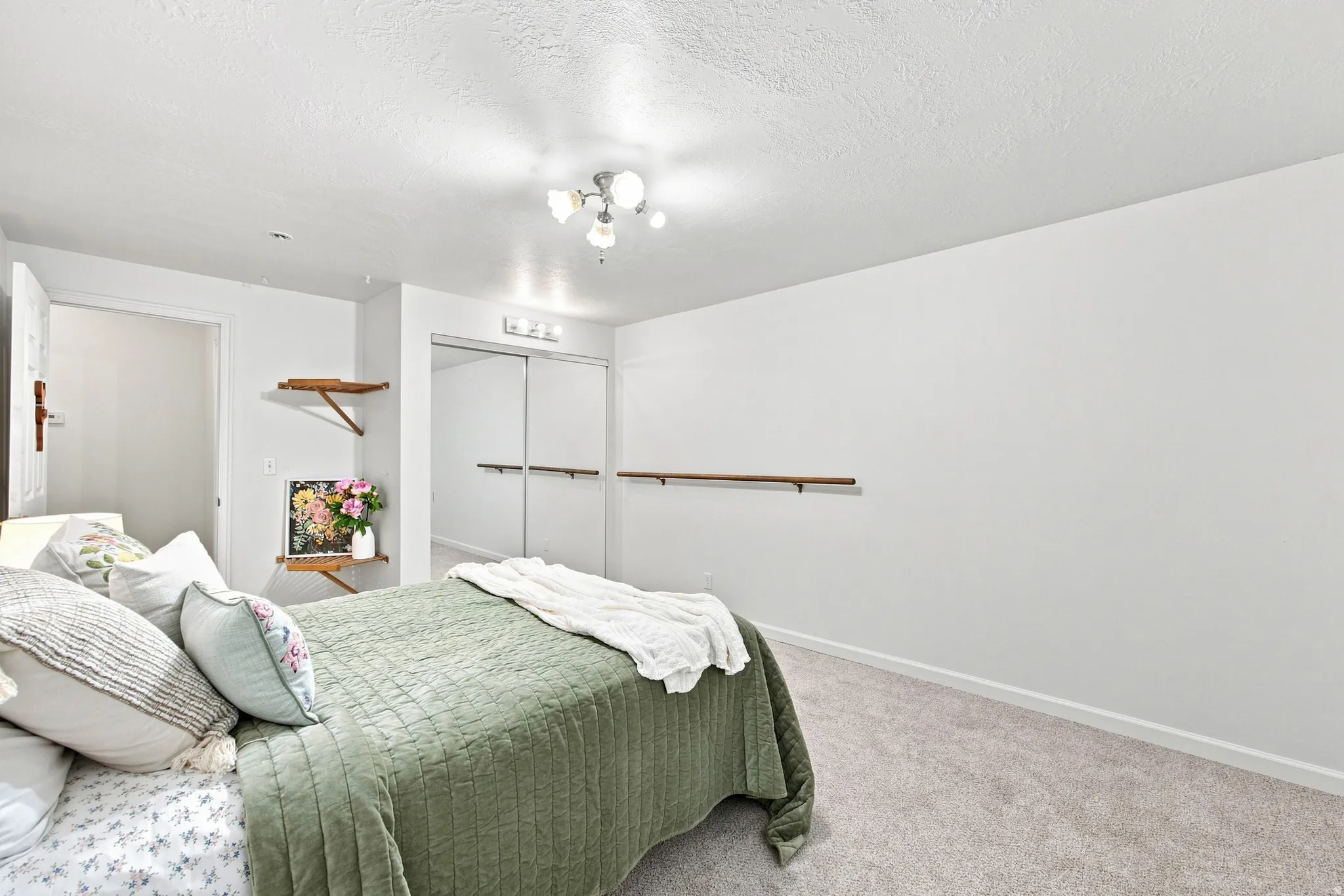 Plush carpeting, flush-mount ceiling light fixture, three-light vanity bar, mirrored closet doors, and built-in wall shelving