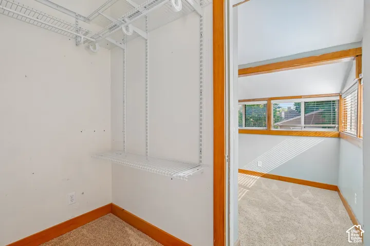 Wall-mounted wire shelving system and carpeted flooring