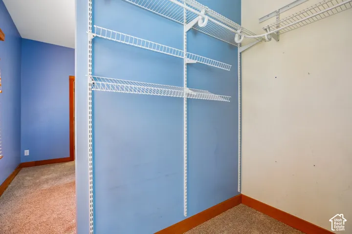 Wire shelving system, wall-mounted shelving, and carpeted flooring