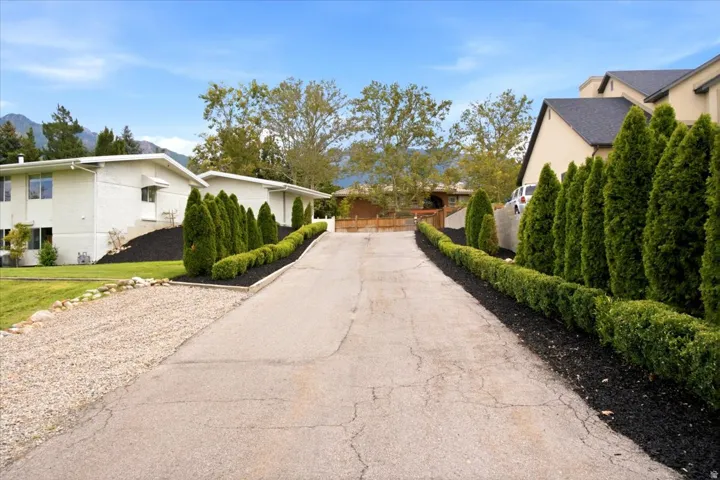 Long paved driveway bordered by mature landscaping leading to the secluded Oakcrest Lane property.