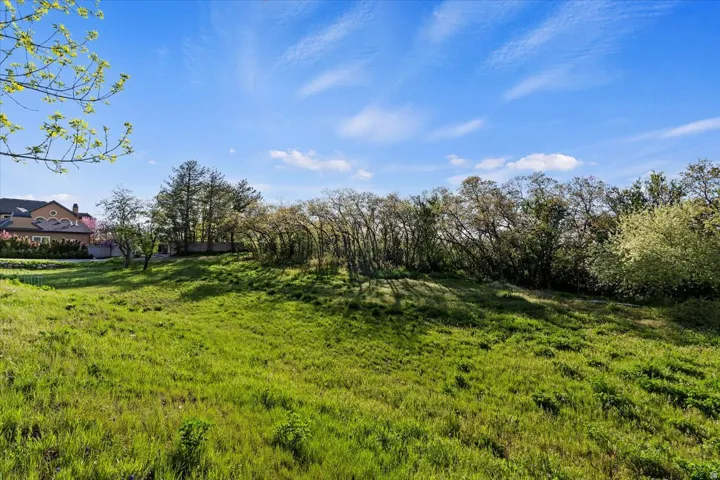 Expansive .61-acre homesite surrounded by mature trees.