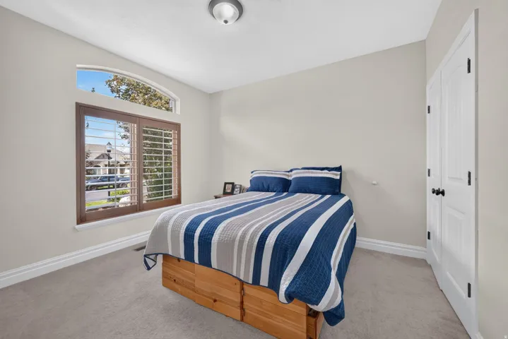 Arched transom window with plantation shutters, wood-frame window, neutral wall paint, ceiling-mounted light fixture, and carpeted flooring