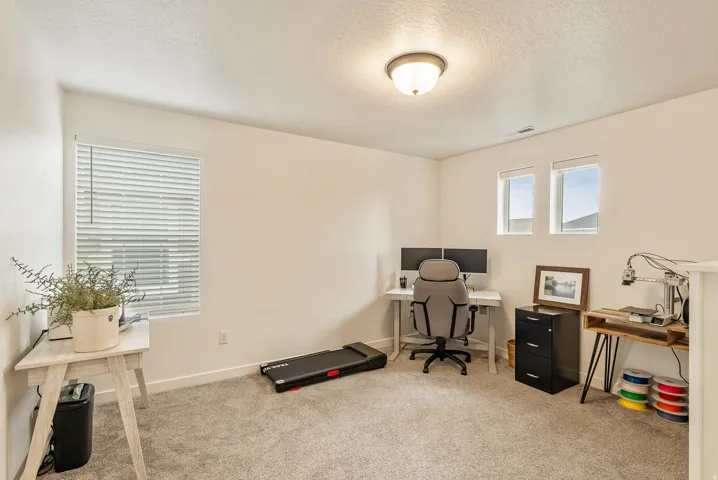 Neutral wall color, carpeted flooring, multiple windows, and a flush-mount ceiling light
