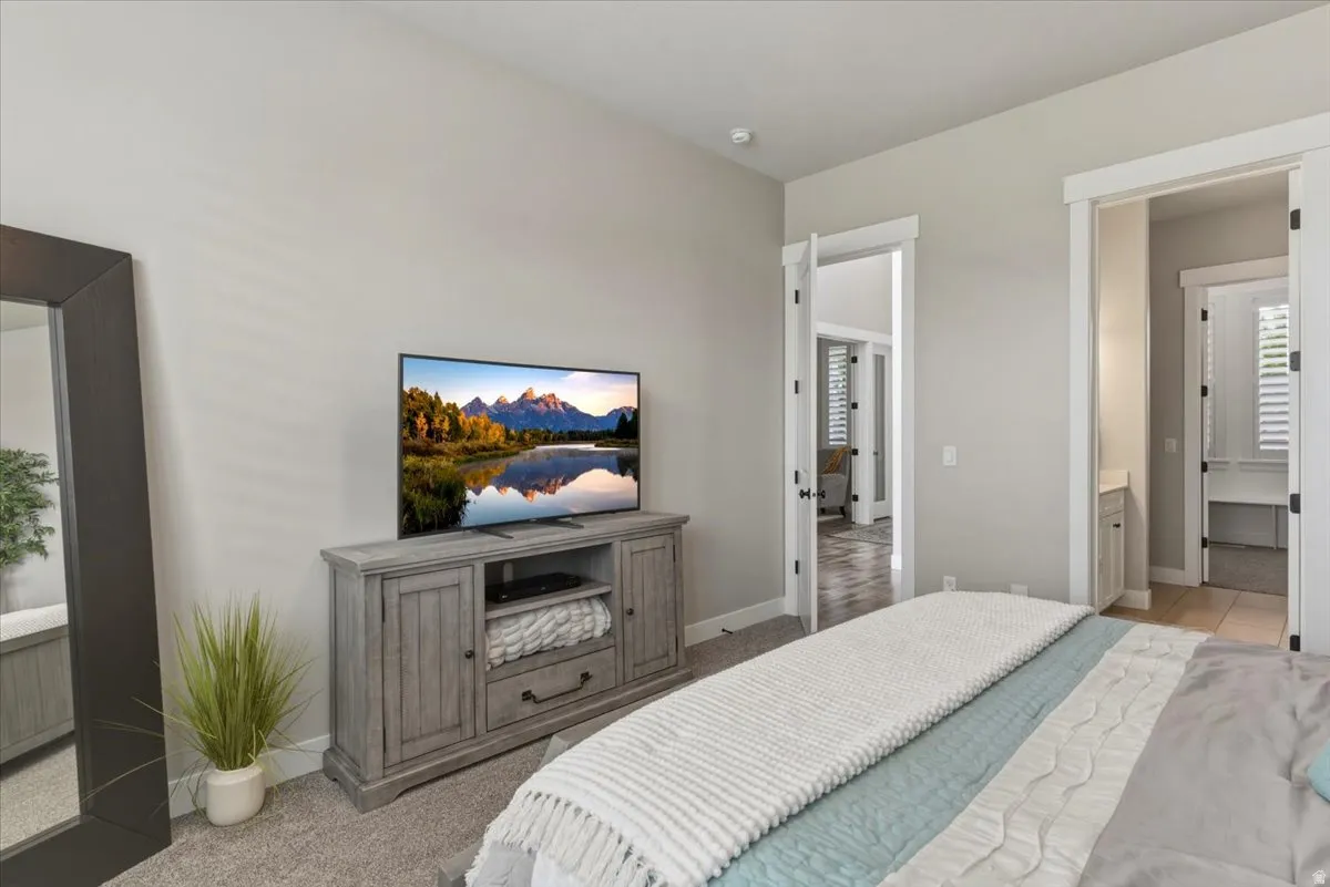 Plush carpet flooring, light neutral wall tones, and two doorways with white trim
