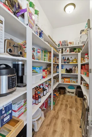 Walk-in pantry featuring extensive built-in shelving, wood-finish flooring, and flush-mount ceiling lighting