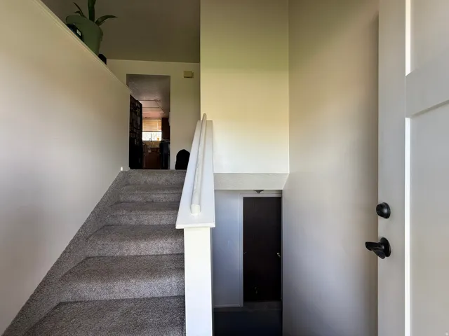 Carpeted staircase with painted white railing and neutral wall tones