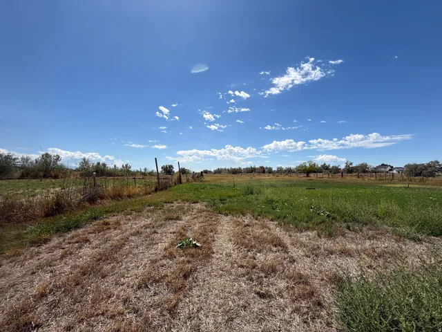 Expansive undeveloped land featuring a combination of dry and green vegetation
