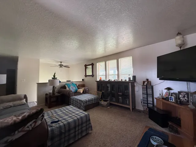 Carpeted living area featuring multiple windows, a ceiling fan, and a built-in half-wall partition