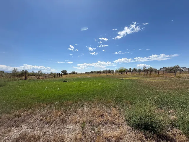 Expansive open lot featuring natural grasslands and distant mature trees
