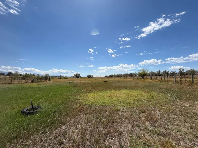 Expansive open field with scattered trees and a perimeter fence line