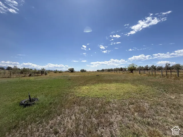 Expansive open field with scattered trees and a perimeter fence line