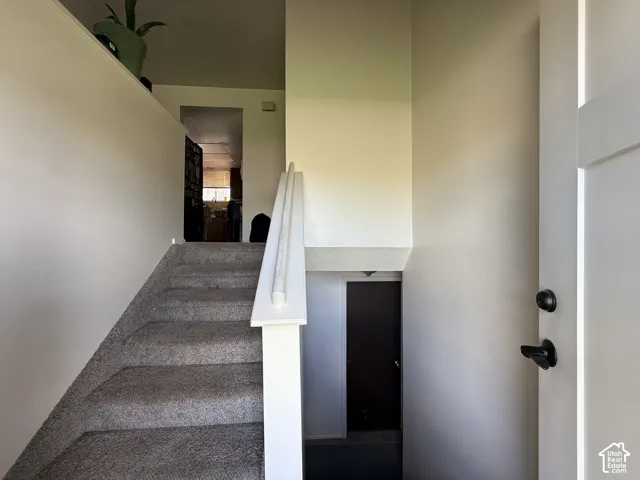 Carpeted staircase with painted white railing and neutral wall tones