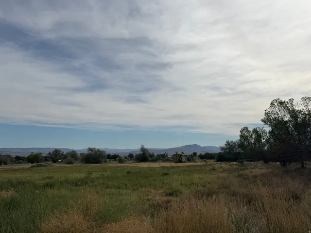 Expansive open land featuring diverse natural vegetation and distant mountains