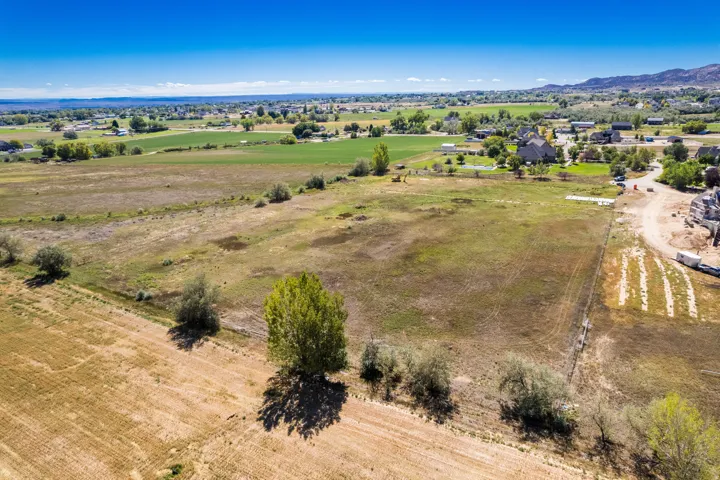 Expansive open field with scattered trees and distant mountain ranges