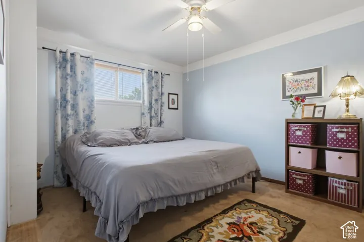 Carpeted flooring, crown molding, ceiling fan with integrated lighting, and window with blinds