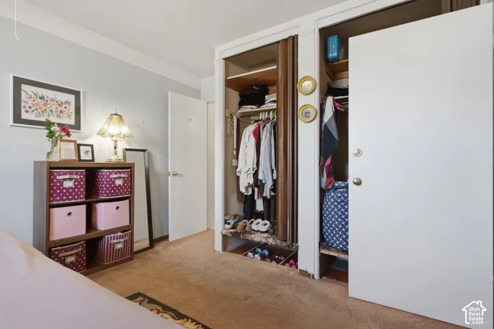 Built-in shelving, crown molding, and two closets featuring white doors