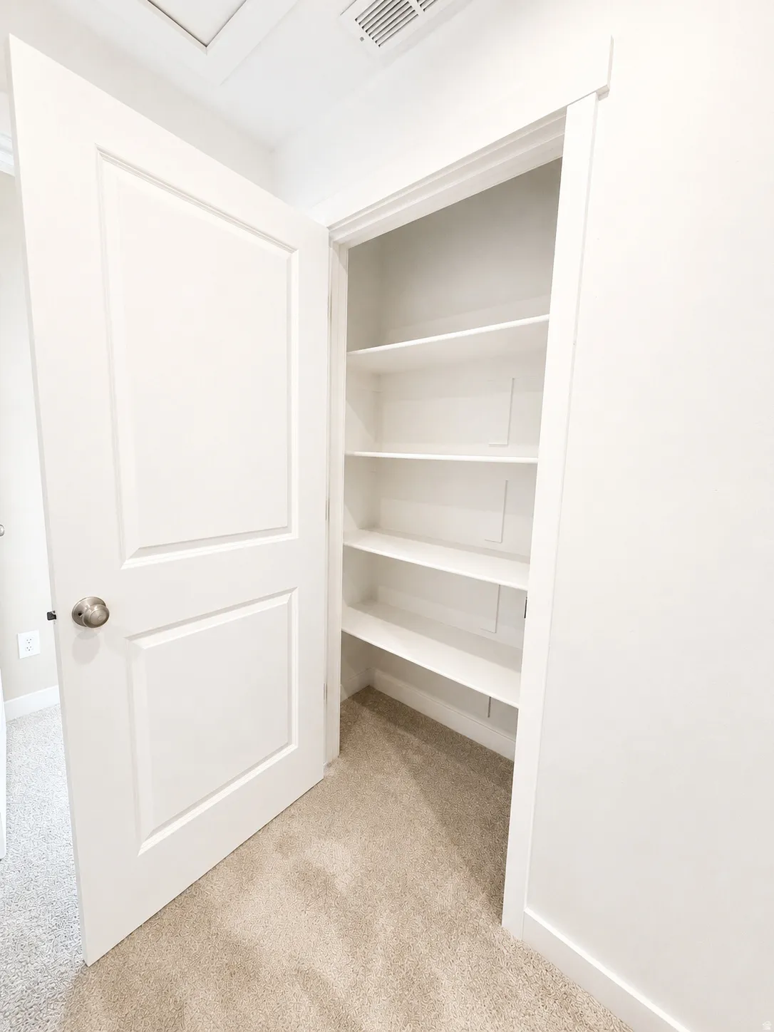Built-in shelving with multiple levels, paneled interior door with a brushed nickel knob, white trim details, and light-colored carpet flooring