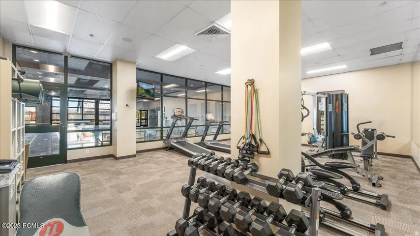 Gym space featuring a carpeted floor, extensive window walls, multiple treadmills, and a dumbbell rack